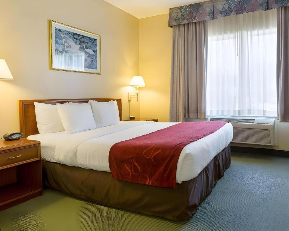 Comfort Suites La Porte Buitenkant foto